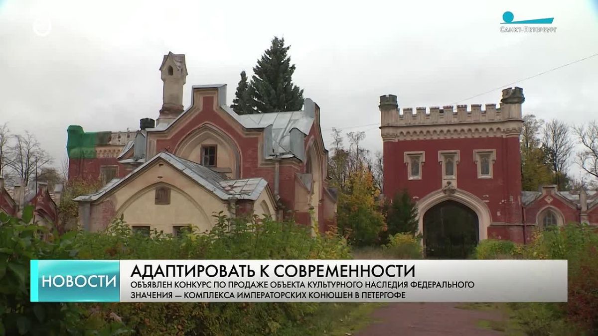 Императорские конюшни в Петергофе выставили на торги