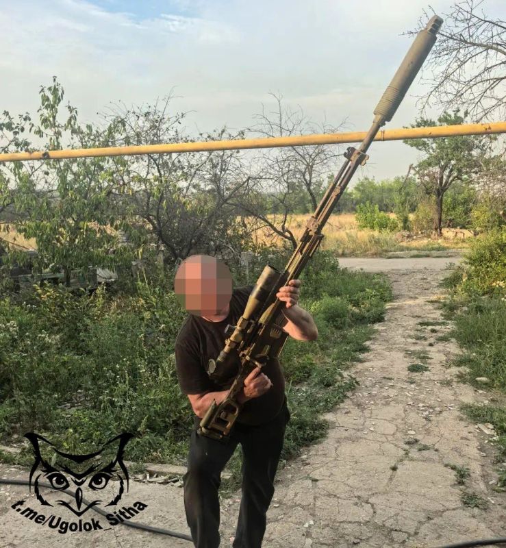 Z - в зоне проведения Специальной Военной Операции Z - в зоне проведения Специальной Военной Операции