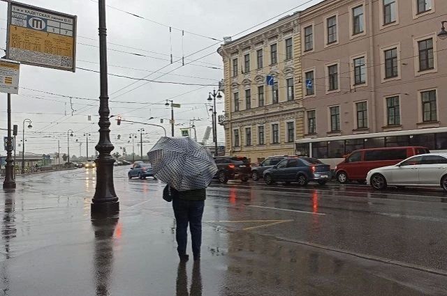 В Петербурге пасмурно и дождливо, но пока без сильного холода