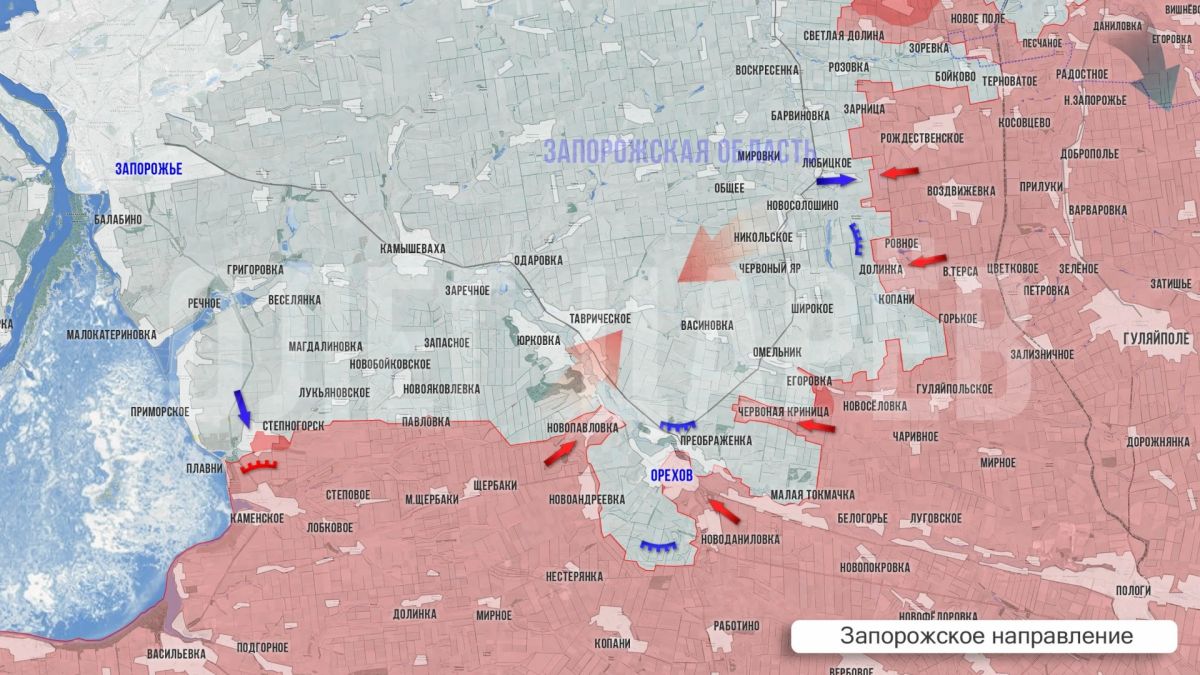 Олег Царёв: Фронтовая сводка Олег Царёв: Фронтовая сводка