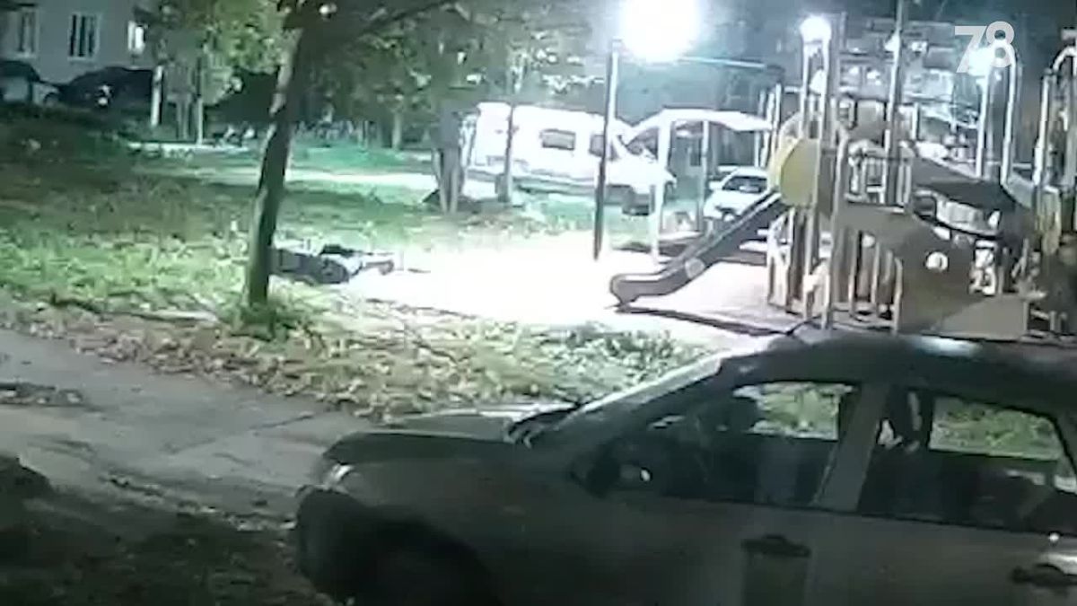 Женщина убегала от волка в поселке Дружная Горка