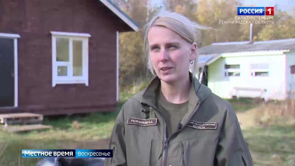 В Нижне-Свирском заповеднике изучают местных и перелётных птиц