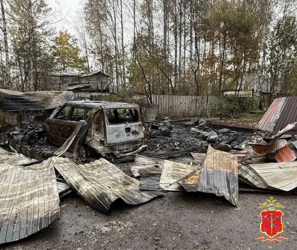 Во Всеволожском районе полицией задержан подозреваемый в поджоге гаража и автомобиля