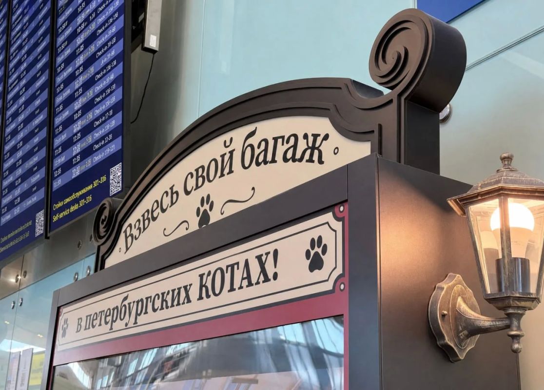 «У вас перевес в полтора кота»: в Пулково багаж перевели в пушистые единицы измерения «У вас перевес в полтора кота»: в Пулково багаж перевели в пушистые единицы измерения