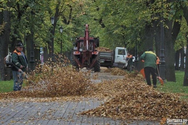 За день может выпасть около 10 литров воды на каждый квадратный метр площади