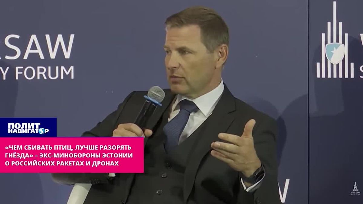 «Чем сбивать птиц, лучше разорять гнёзда» – экс-минобороны Эстонии явил «стратегическое мышление» в чухонском стиле