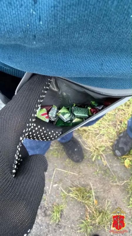 В Тосненском районе задержан водитель, перевозивший наркотики В Тосненском районе задержан водитель, перевозивший наркотики