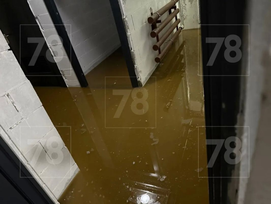 Воды по колено, запах жуткий: жители Парголово пожаловались на прорыв канализации Воды по колено, запах жуткий: жители Парголово пожаловались на прорыв канализации