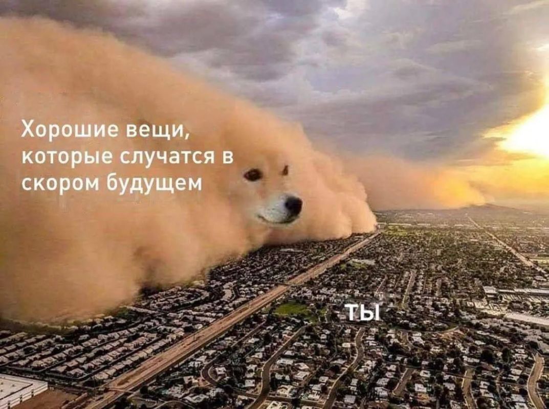 Мем-прогноз на 14 октября: Чего ожидать от сегодняшнего дня? Смотри на фото
