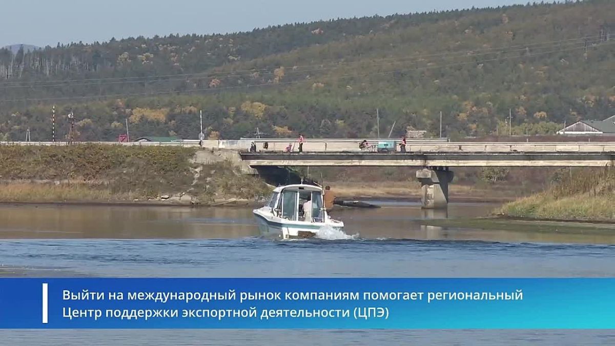 Сахалинская компания по вылову тунца готовится к выходу на экспорт благодаря господдержке