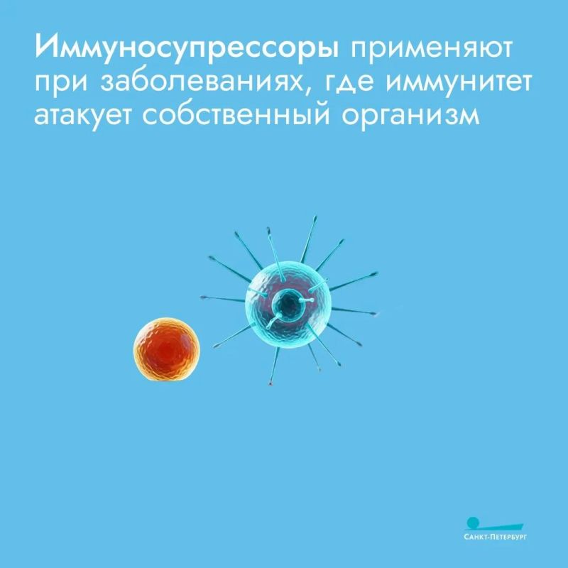 Иммуномодуляторы – это вещества и препараты, которые влияют на работу иммунной системы: одни помогают ей активнее бороться с инфекциями, другие, наоборот, снижают избыточное воспаление Иммуномодуляторы – это вещества и препараты, которые влияют на работу иммунной системы: одни помогают ей активнее бороться с инфекциями, другие, наоборот, снижают избыточное воспаление
