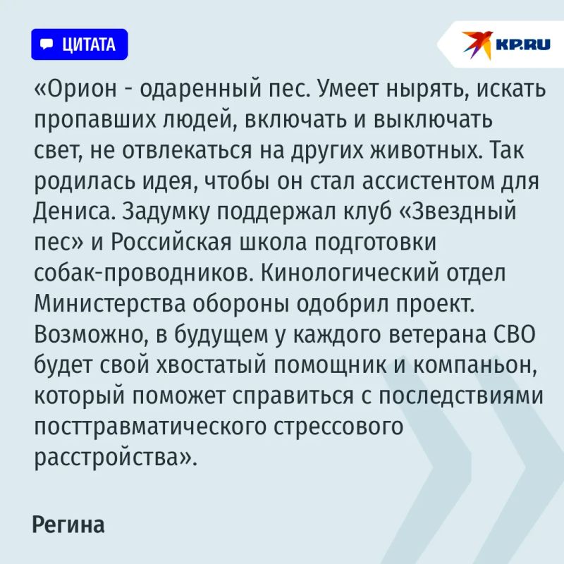 Трое в палате, считая собаку: жена спасает раненого на СВО мужа, а помогает ей в этом пес Орион Трое в палате, считая собаку: жена спасает раненого на СВО мужа, а помогает ей в этом пес Орион