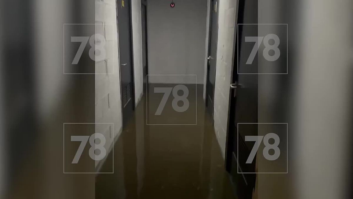 Воды по колено, запах жуткий: жители Парголово пожаловались на прорыв канализации