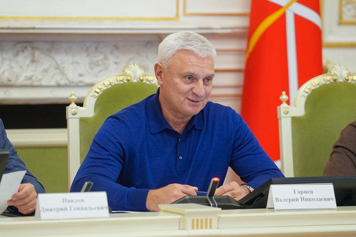 Комиссия по градостроительству поддержала создание искусственного земельного участка в Угольной гавани