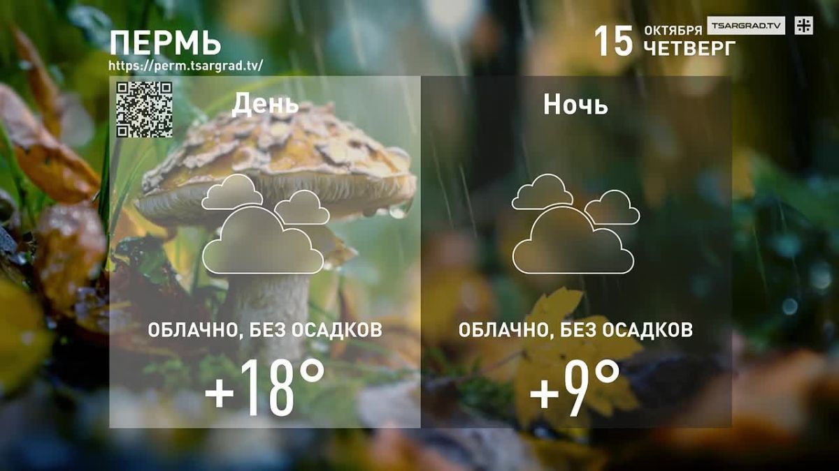 Октябрьский рассвет.
.
Ночь побледнела, и месяц садится
За реку красным серпом
