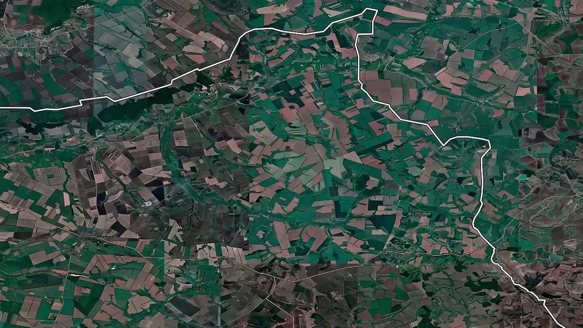 Операция "Медвежий угол" в динамике
