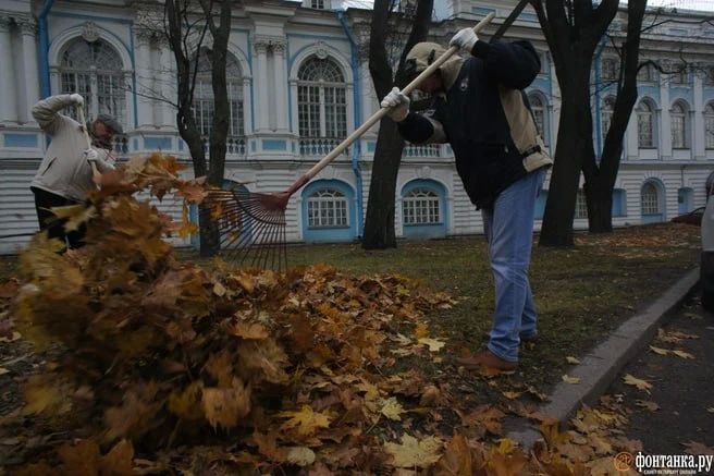 Более 200 тысяч петербуржцев вышли на уборку Петербурга в рамках традиционного осеннего субботника