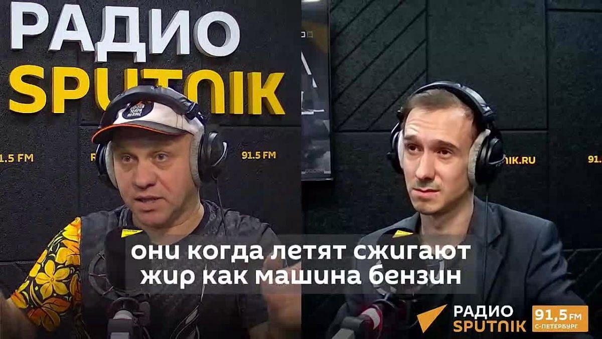 Перелётные птицы вынуждены менять маршруты из-за человека, заявил Павел Глазков