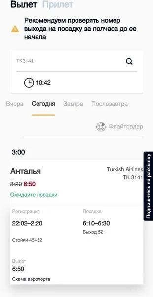 Пассажиры рейса Петербург — Анталья Turkish Airlines вернулись домой после отмены вылета на фоне атаки БПЛА
