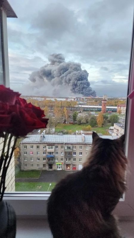 Противник сегодня ударил по Санкт-Петербургу