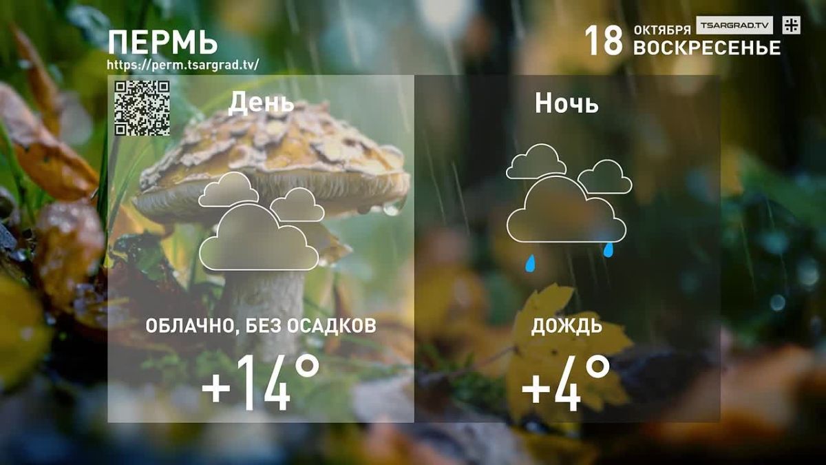 Осенней позднею порою.
Люблю я царскосельский сад