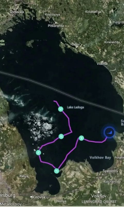 Знаменитый питерский тюлень Крошик рискует навсегда «пропасть» в водах Ладожского озера Знаменитый питерский тюлень Крошик рискует навсегда «пропасть» в водах Ладожского озера