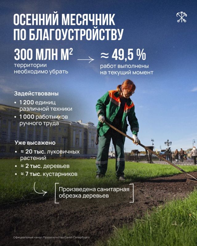 Как город проводит осенний месячник по благоустройству? Какие возможности предоставляет Петербург для работников ручного труда? Что делать, если в квартире стало слишком жарко? Как город проводит осенний месячник по благоустройству? Какие возможности предоставляет Петербург для работников ручного труда? Что делать, если в квартире стало слишком жарко?