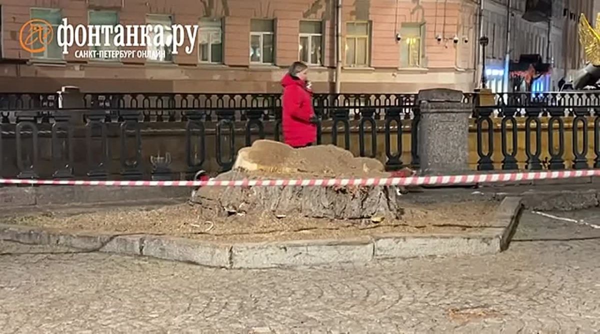 Тополь из видеоигры Call Of Duty Modern Warfare спилили в центре Петербурга