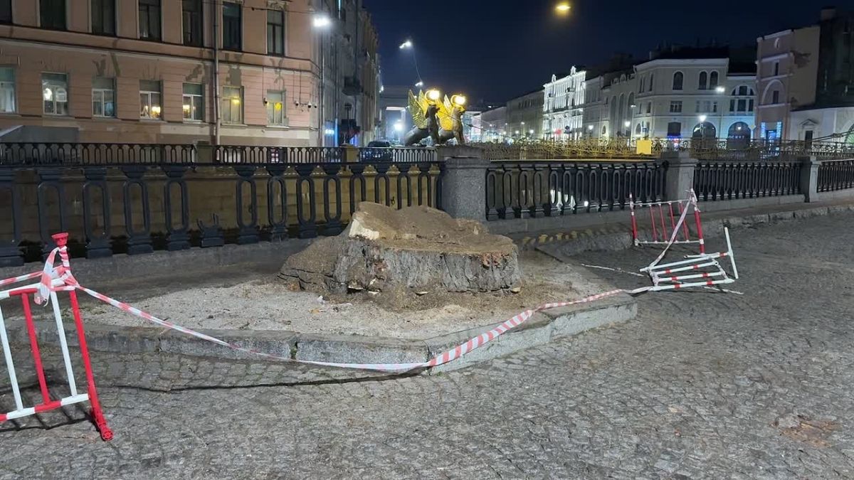 В центре Петербурга спилили тополь, который можно было увидеть в популярной игре Call Of Duty Modern Warfare