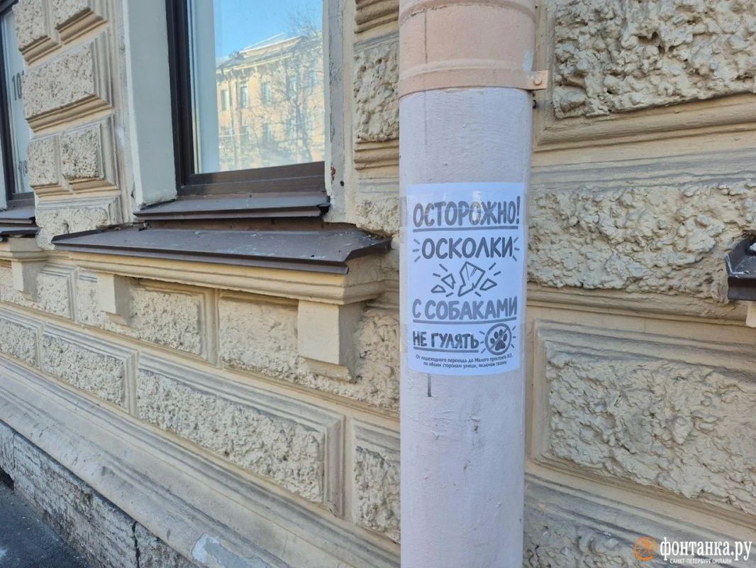 «Осторожно, осколки!». Василеостровцев после 18 октября просят аккуратнее гулять с собаками