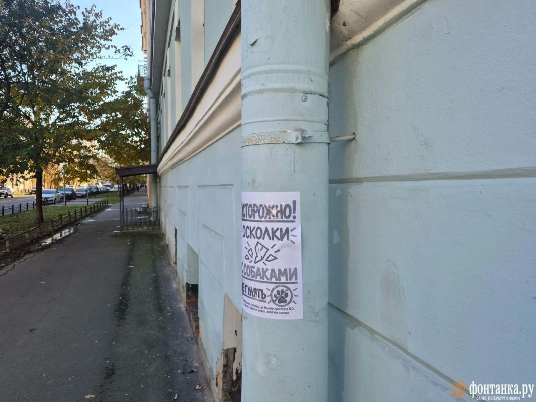 «Осторожно, осколки!». Василеостровцев после 18 октября просят аккуратнее гулять с собаками «Осторожно, осколки!». Василеостровцев после 18 октября просят аккуратнее гулять с собаками