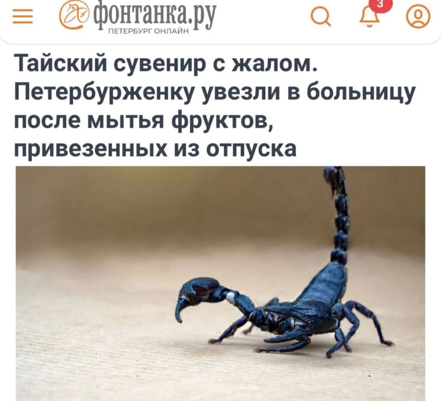 «Тайский сувенир с жалом»: Россиянку укусил скорпион во время мытья фруктов