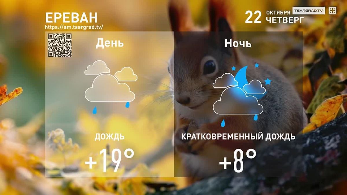 «Уже окончен листопад!» — сады кричали
