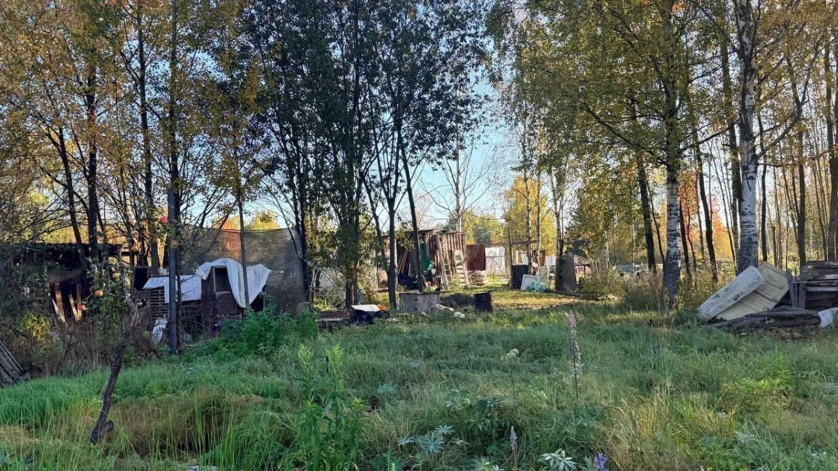 Огородников в Московском районе попросят освободить участки ради строительства кампуса университета МВД