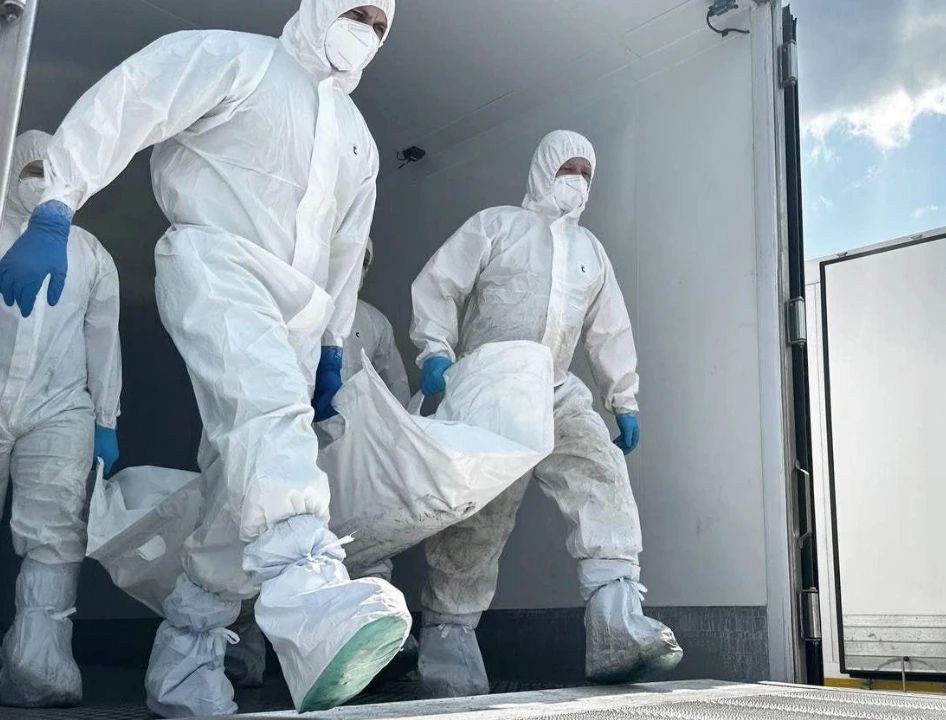 Россия и Украина совершили очередной обмен телами погибших