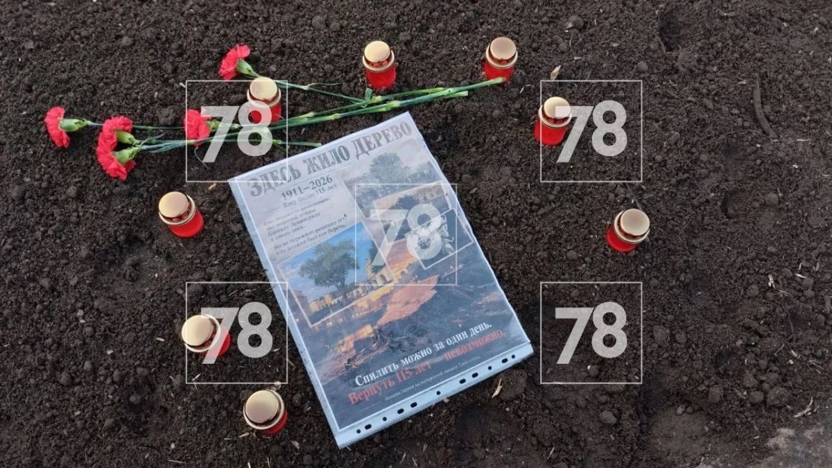 «Здесь жило дерево»: стихийный мемориал появился на месте спиленного 115-летнего тополя