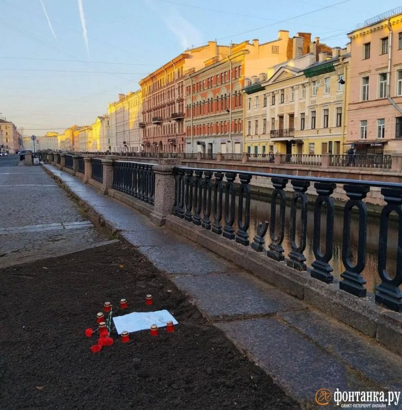 «Могила» появилась на месте срубленного дерева на канале Грибоедова