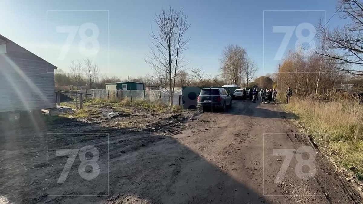 Власти Петербурга проверяют информацию о жителях бывшего огородничества, нуждающихся в соцподдержке