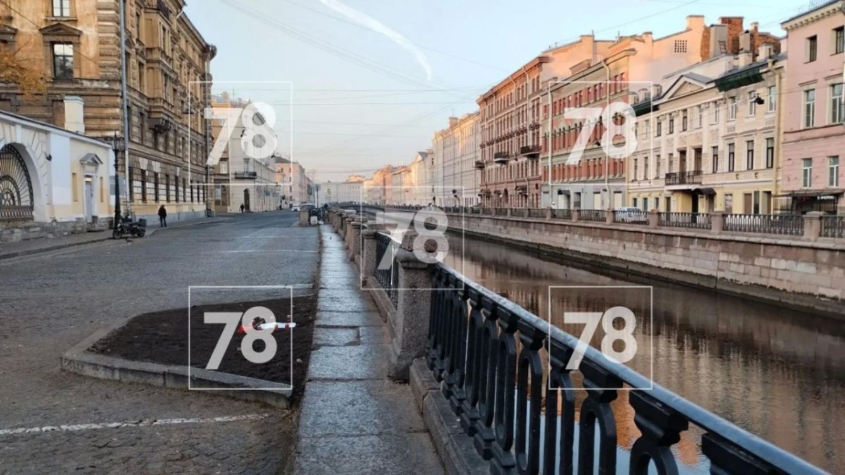 «Здесь жило дерево»: стихийный мемориал появился на месте спиленного 115-летнего тополя «Здесь жило дерево»: стихийный мемориал появился на месте спиленного 115-летнего тополя