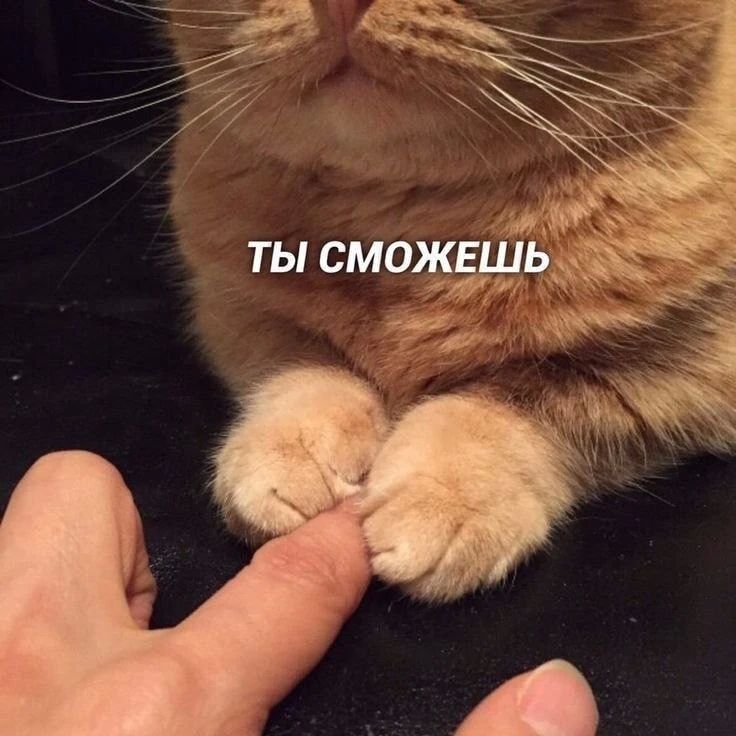 Мем-прогноз на 23 октября: Чего ожидать от сегодняшнего дня? Смотри на фото