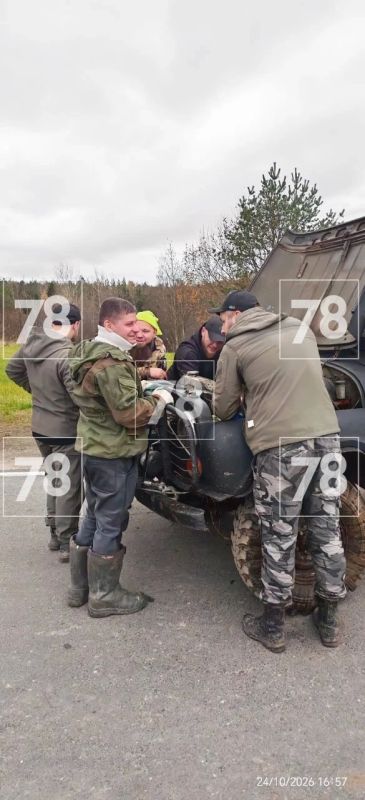 В Ленобласти продолжаются поиски 72-летнего грибника В Ленобласти продолжаются поиски 72-летнего грибника