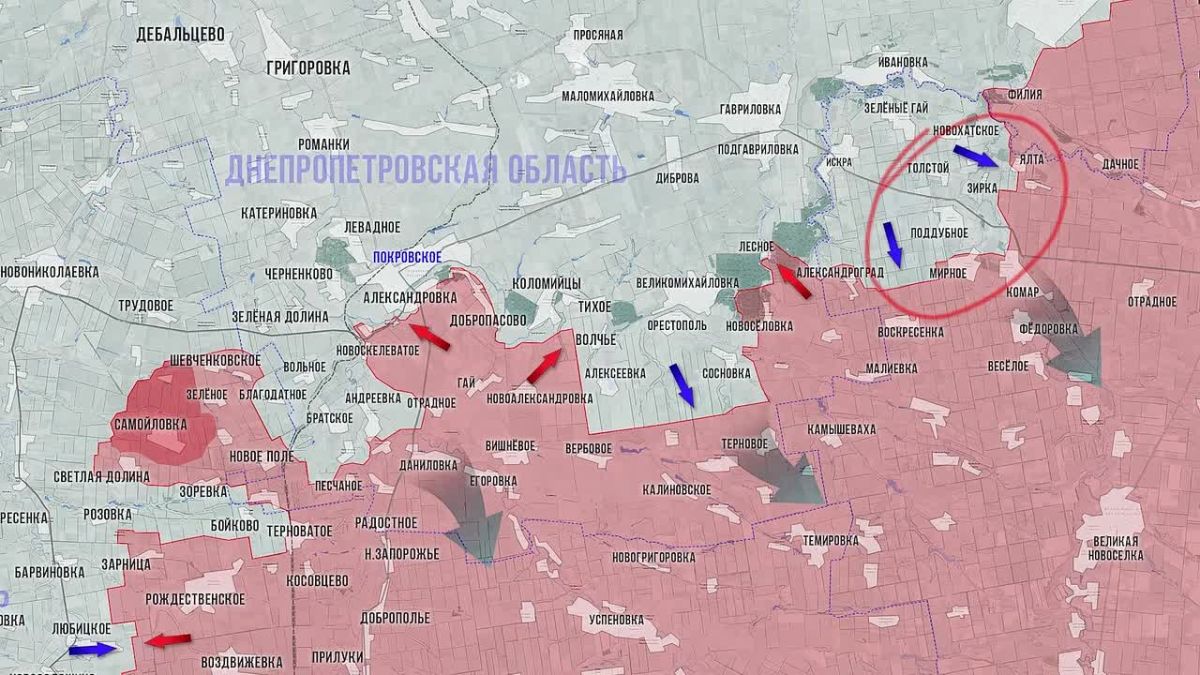 Олег Царёв: Фронтовая сводка 24 октября, видеоформат