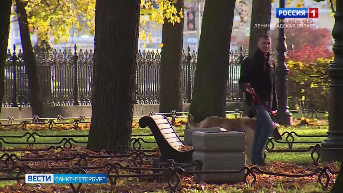 Синоптики прогнозируют в Петербурге теплые выходные