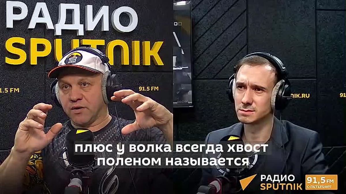 Как отличить волка от собаки и могут ли хищники напасть на человека, рассказал Павел Глазков