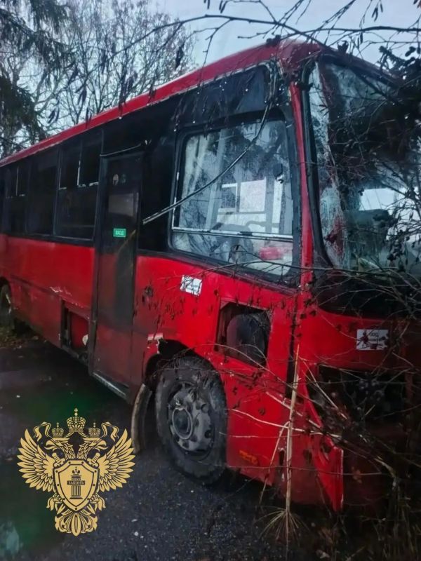 Рейсовый автобус съехал в кювет на трассе в Ленобласти