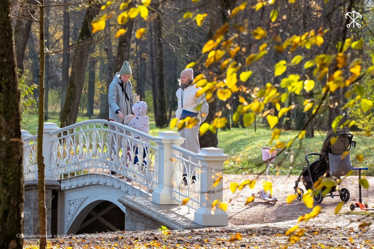 В Александровском парке Царского Села завершили реставрацию исторического моста со шлюзом В Александровском парке Царского Села завершили реставрацию исторического моста со шлюзом