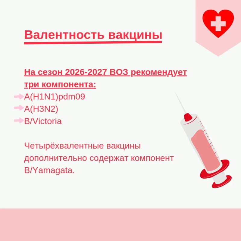 ФМБА России информирует: в стране продолжается Всероссийская прививочная кампания против гриппа сезона 2026–2027 ФМБА России информирует: в стране продолжается Всероссийская прививочная кампания против гриппа сезона 2026–2027