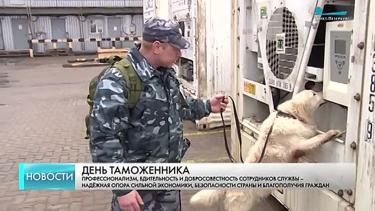 Сегодня в России отмечают День таможенника