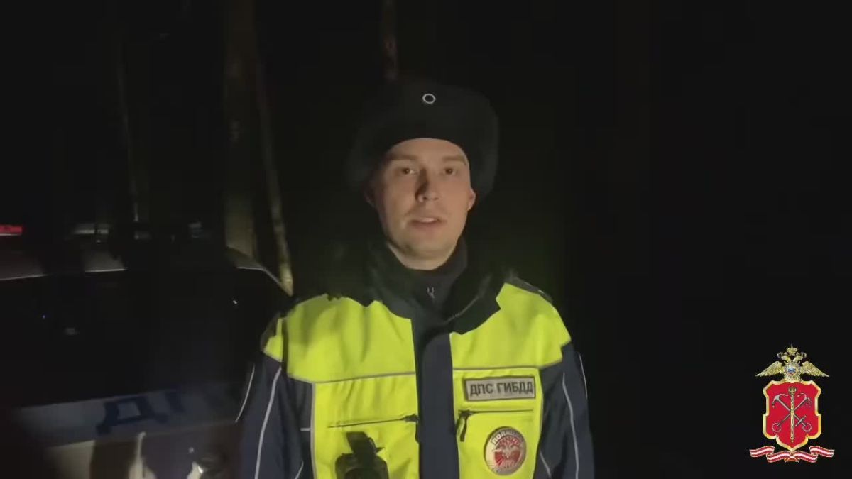 Полиция Выборгского района Ленобласти проводит проверку по факту смертельного ДТП