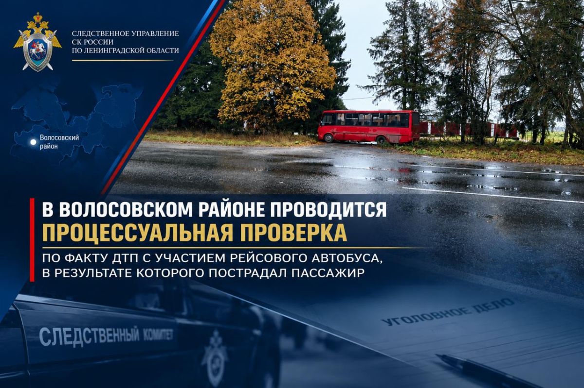 В Волосовском районе проводится процессуальная проверка по факту ДТП с участием рейсового автобуса